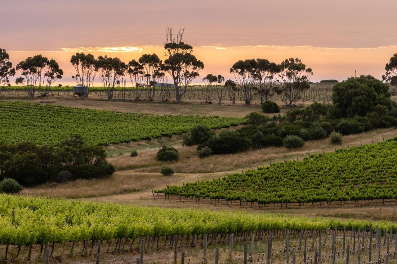 Hotel California Road At Inkwell Wines Mclaren Vale Buitenkant foto