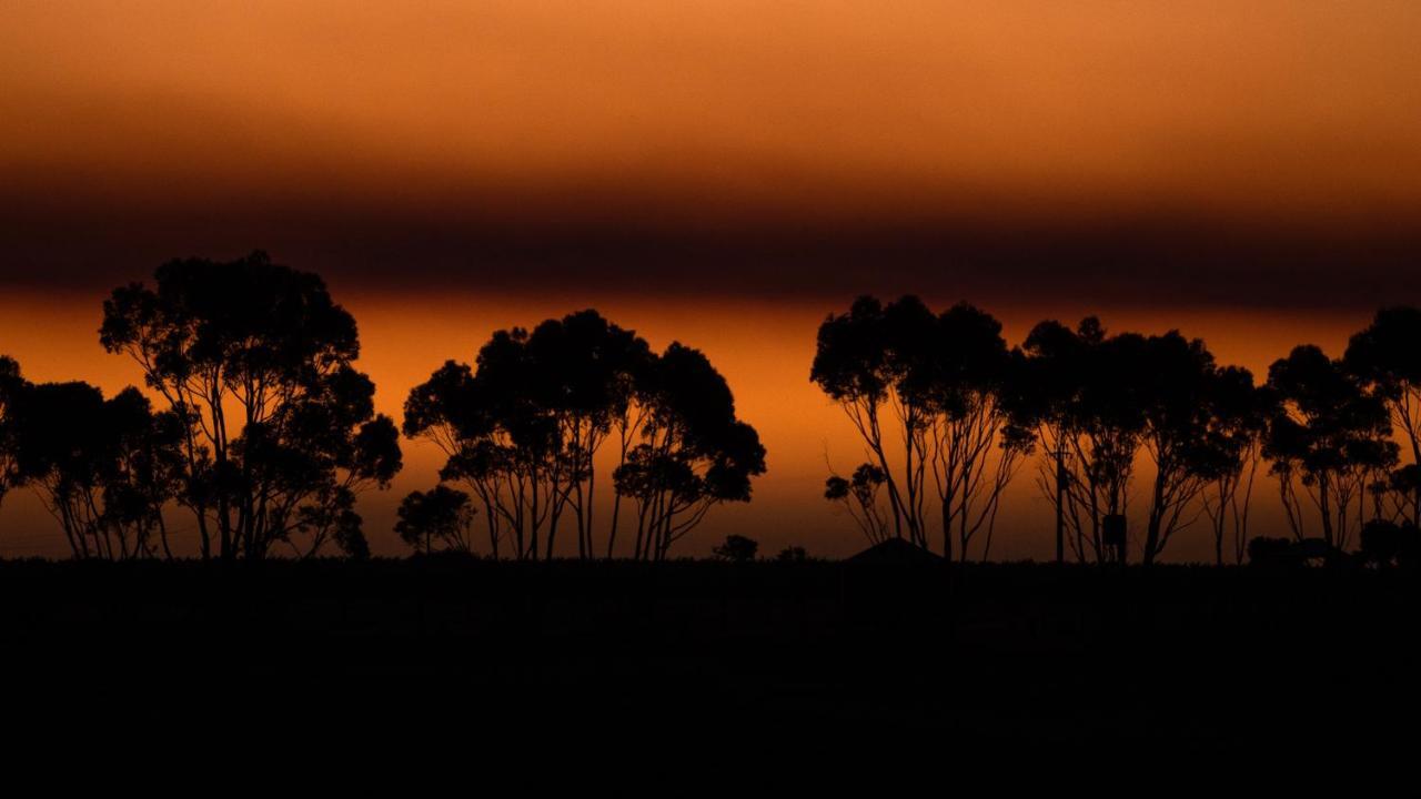 Hotel California Road At Inkwell Wines Mclaren Vale Buitenkant foto